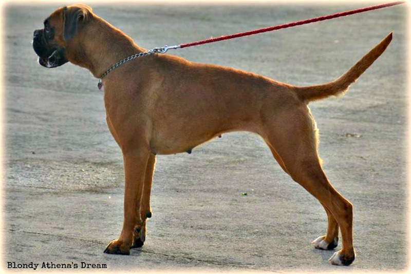 Blondy, 2 leti 10 mesecev